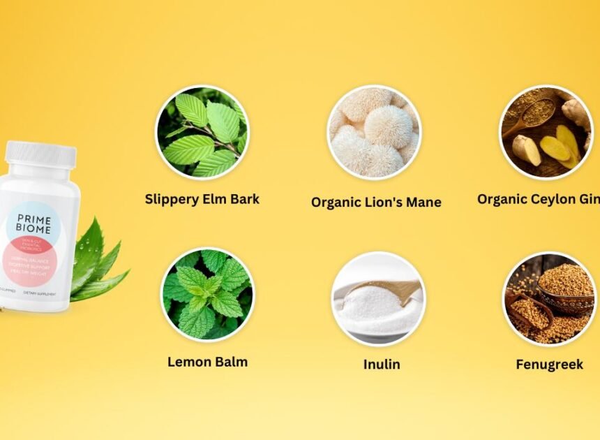 Prime Biome Reviews: Honest Insights into This Popular Gut Health Supplement